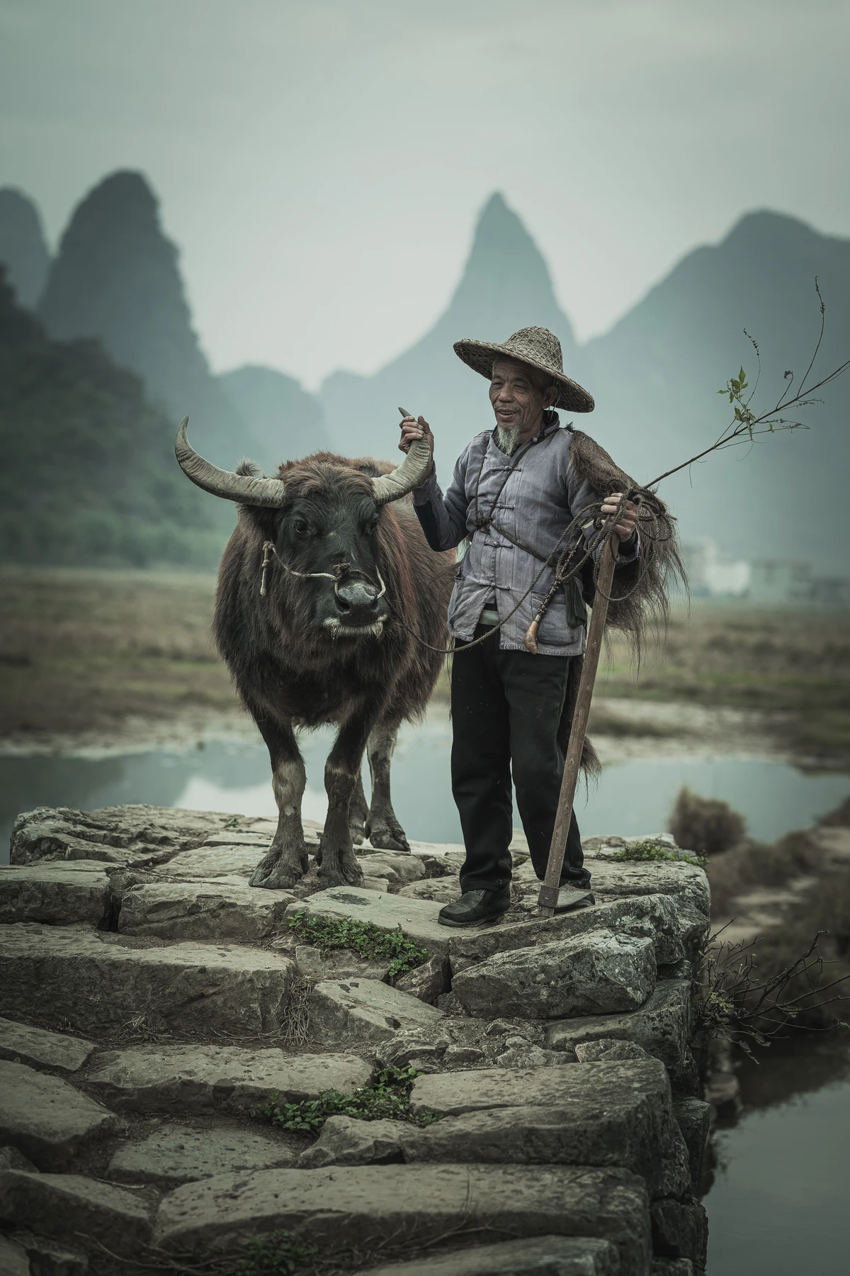 Farmer and Buffalo in Tianxin