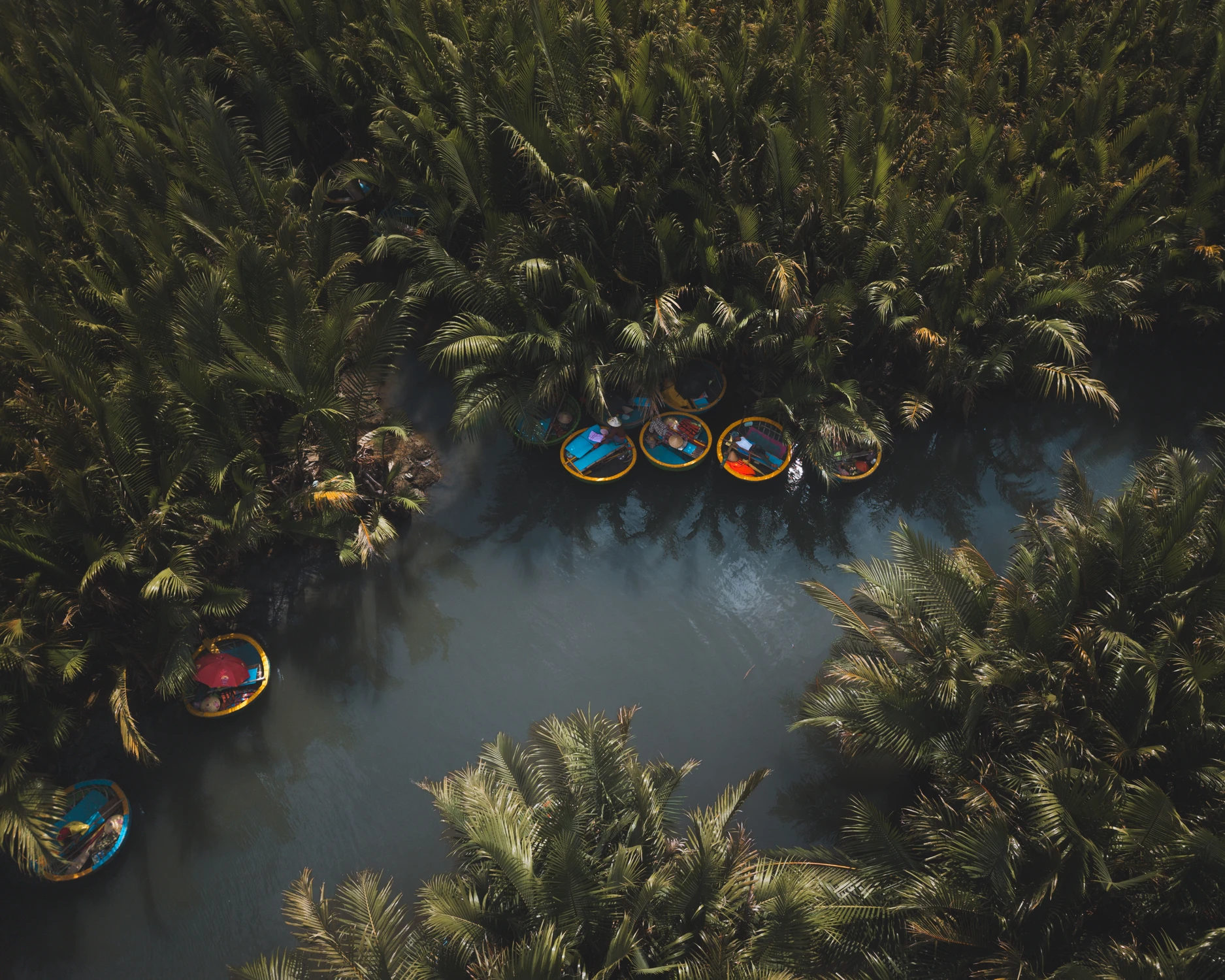 Basket Boats in the Coconut Forest