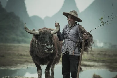 Farmer and Buffalo in Tianxin