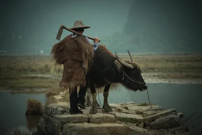 The Buffalo Keeper