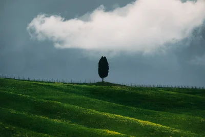 Val d'Orcia Solitude