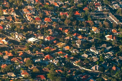 Suburban Canopy