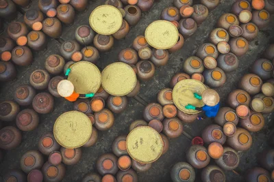 Soy Sauce Fermentation Yard