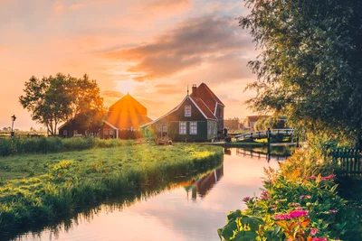 Golden Zaan Reflections