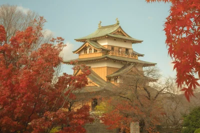 Autumn at Takashima Castle