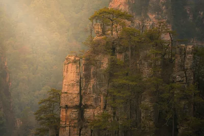 Mist Among the Pillars