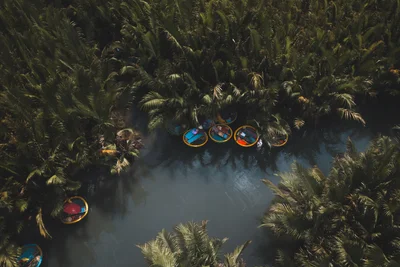 Basket Boats in the Coconut Forest