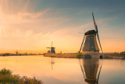 Kinderdijk Reflections