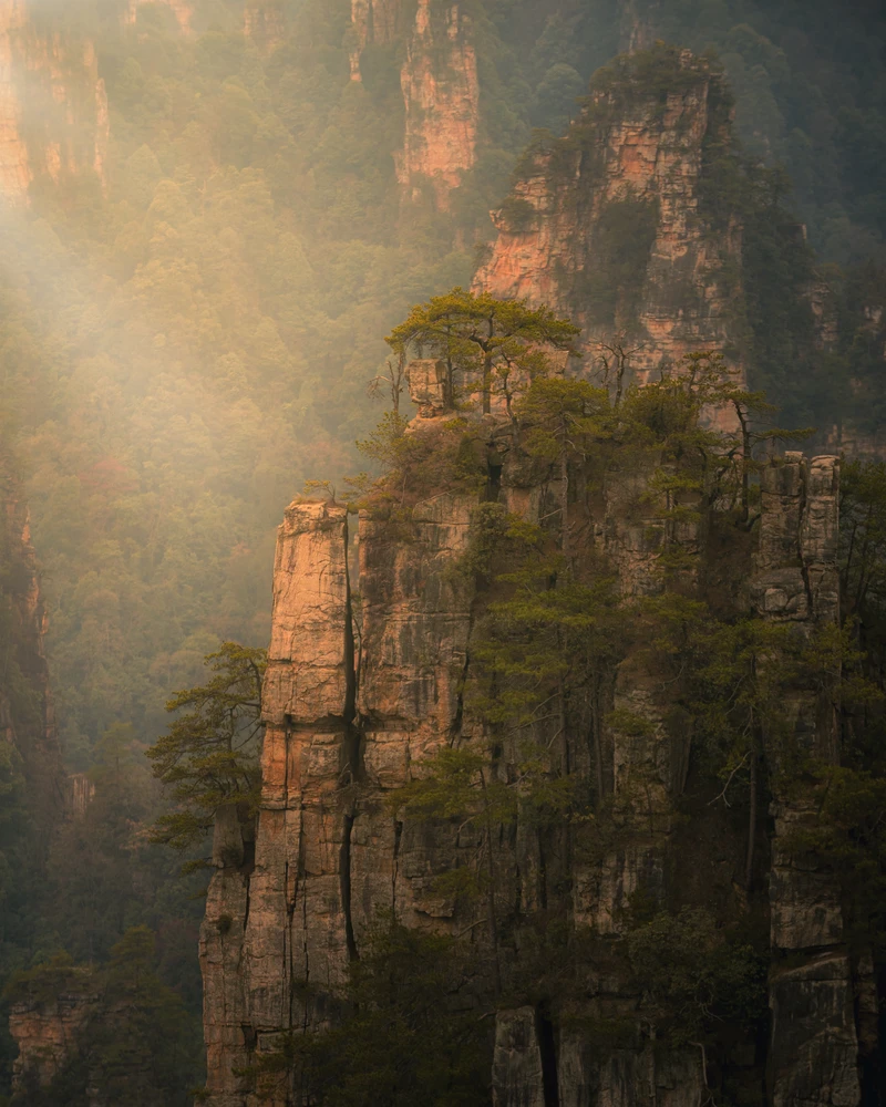 Mist Among the Pillars