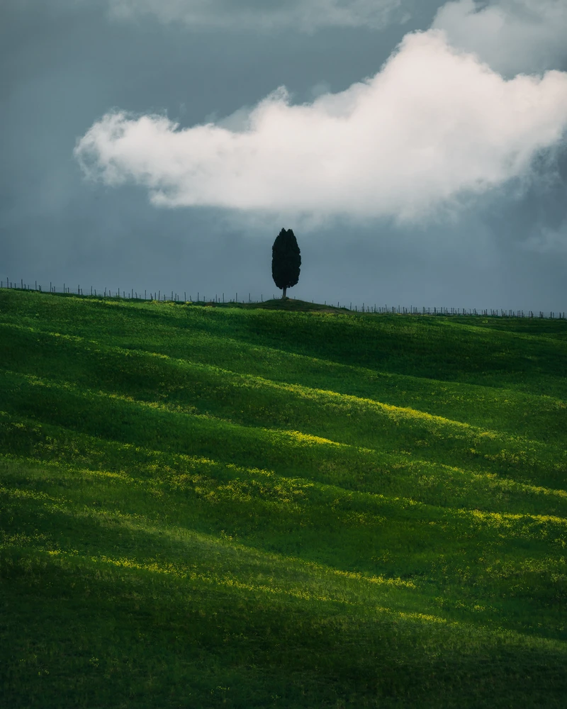 Val d'Orcia Solitude