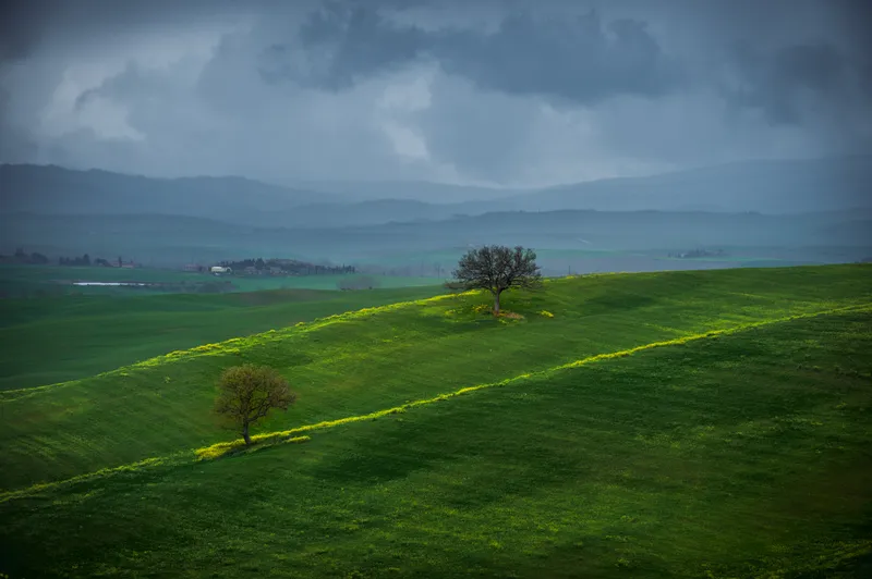 Green Silence