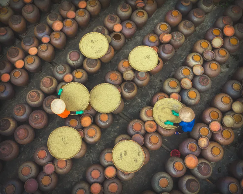 Soy Sauce Fermentation Yard