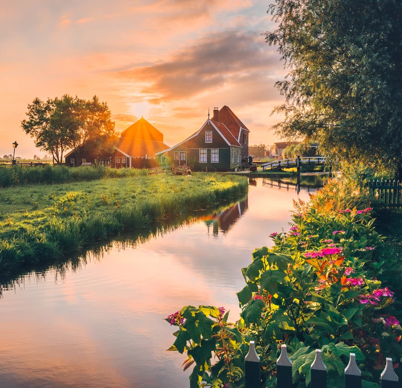 Golden Zaan Reflections